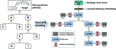 Graphical abstract: Evaluating and clustering retrosynthesis pathways with learned strategy