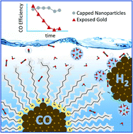 Graphical abstract: Effect of surface ligands on gold nanocatalysts for CO2 reduction