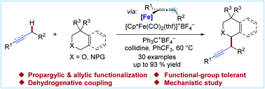 Graphical abstract: Iron-catalyzed α-C–H functionalization of π-bonds: cross-dehydrogenative coupling and mechanistic insights