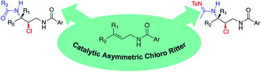 Graphical abstract: Ritter-enabled catalytic asymmetric chloroamidation of olefins