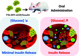 Graphical abstract: In vivo oral insulin delivery via covalent organic frameworks