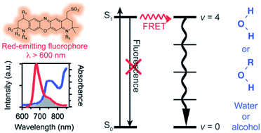 Graphical abstract: Universal quenching of common fluorescent probes by water and alcohols