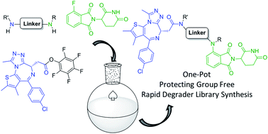 Graphical abstract: Rapid synthesis of pomalidomide-conjugates for the development of protein degrader libraries
