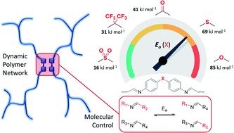 Graphical abstract: Molecular control over vitrimer-like mechanics – tuneable dynamic motifs based on the Hammett equation in polyimine materials