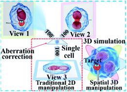 Graphical abstract: Visually precise, low-damage, single-cell spatial manipulation with single-pixel resolution