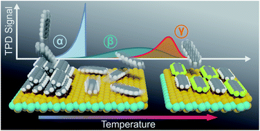 Graphical abstract: Engineering of TMDC–OSC hybrid interfaces: the thermodynamics of unitary and mixed acene monolayers on MoS2