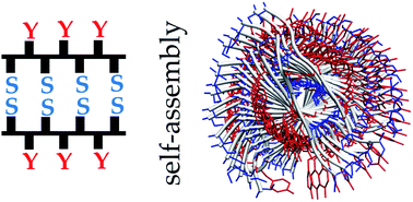 Graphical abstract: Atomistic fibrillar architectures of polar prion-inspired heptapeptides