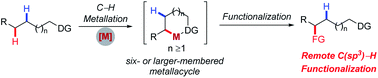 Graphical abstract: Site-selective functionalization of remote aliphatic C–H bonds via C–H metallation