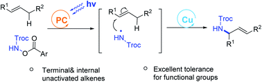 Graphical abstract: Intermolecular oxidative amination of unactivated alkenes by dual photoredox and copper catalysis