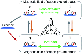 Graphical abstract: A ground-state-dominated magnetic field effect on the luminescence of stable organic radicals