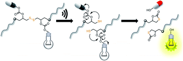 Graphical abstract: Mechanochemical activation of disulfide-based multifunctional polymers for theranostic drug release