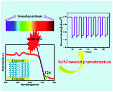 Graphical abstract: A reduced-dimensional polar hybrid perovskite for self-powered broad-spectrum photodetection