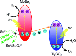 Graphical abstract: A rationally designed two-dimensional MoSe2/Ti2CO2 heterojunction for photocatalytic overall water splitting: simultaneously suppressing electron–hole recombination and photocorrosion