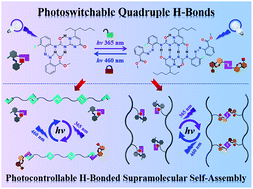 Graphical abstract: Towards photoswitchable quadruple hydrogen bonds via a reversible “photolocking” strategy for photocontrolled self-assembly