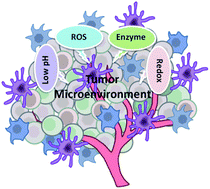 Graphical abstract: Intelligent stimuli-responsive nano immunomodulators for cancer immunotherapy