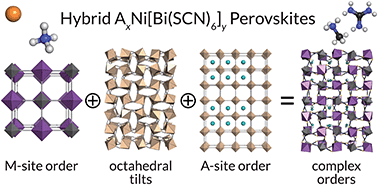 Graphical abstract: Controlling multiple orderings in metal thiocyanate molecular perovskites Ax{Ni[Bi(SCN)6]}