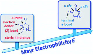 Graphical abstract: Electrophilic reactivities of cyclic enones and α,β-unsaturated lactones