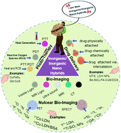 Graphical abstract: Inorganic–inorganic nanohybrids for drug delivery, imaging and photo-therapy: recent developments and future scope