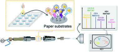 Graphical abstract: One-step hexaplex immunoassays by on-line paper substrate-based electrospray ionization mass spectrometry for combined cancer biomarker screening