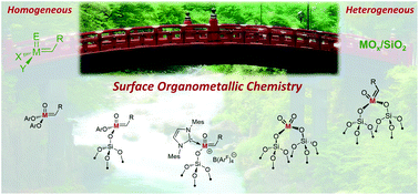Graphical abstract: Olefin metathesis: what have we learned about homogeneous and heterogeneous catalysts from surface organometallic chemistry?