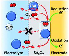 Graphical abstract: Trapped interfacial redox introduces reversibility in the oxygen reduction reaction in a non-aqueous Ca2+ electrolyte