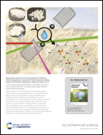 Graphical abstract: Inside back cover