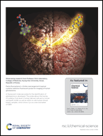 Graphical abstract: Inside back cover