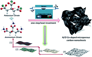 Graphical abstract: In situ self-activation synthesis of binary-heteroatom co-doped 3D coralline-like microporous carbon nanosheets for high-efficiency energy storage in flexible all-solid-state symmetrical supercapacitors