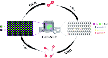 Graphical abstract: Phosphorization of a Prussian blue analogue-derived Co–N–C catalyst for synchronously boosting the oxygen reduction and evolution reactions