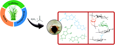 Graphical abstract: Catalytic sugarcane bagasse transformation into a suitable biocrude for hydrocarbon production in typical refinery processes