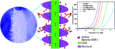 Graphical abstract: Hierarchical nickel cobalt sulfide nanosheet arrays supported on CuO/Cu hybrid foams as a rationally designed core–shell dendrite electrocatalyst for an efficient oxygen evolution reaction