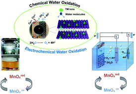 Graphical abstract: Enhanced water oxidation performances of birnessite and magnetic birnessite nanocomposites by transition metal ion doping