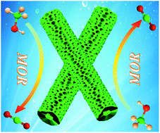 Graphical abstract: A P-doped PtTe mesoporous nanotube electrocatalyst