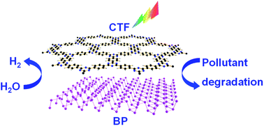 Graphical abstract: Metal-free 2D/2D heterostructured photocatalyst of black phosphorus/covalent triazine-based frameworks for water splitting and pollutant degradation