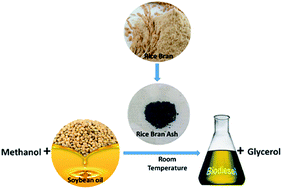 Graphical abstract: Modified mesoporous graphitic carbon nitride: a novel high-performance heterogeneous base catalyst for transesterification reaction