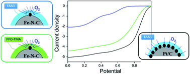 Graphical abstract: The critical importance of ionomers on the electrochemical activity of platinum and platinum-free catalysts for anion-exchange membrane fuel cells