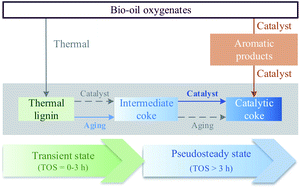 Graphical abstract: Dynamics of carbon formation during the catalytic hydrodeoxygenation of raw bio-oil