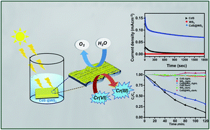 Graphical abstract: Improved charge carrier dynamics of WS2 nanostructures by the way of CdS@WS2 heterostructures for use in water splitting and water purification