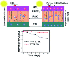 Graphical abstract: Influence of polytetrafluoroethylene (PTFE) on photovoltaic performance and perovskite solar cell stability