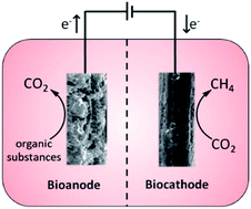 Graphical abstract: Enhanced methane producing microbial electrolysis cells for wastewater treatment using poly(neutral red) and chitosan modified electrodes