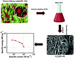 Graphical abstract: Sustainable development of vanadium pentoxide carbon composites derived from Hibiscus sabdariffa family for application in supercapacitors