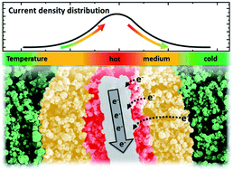 Graphical abstract: On the role of local heating in cathode degradation during the oxygen reduction reaction in solid acid fuel cells