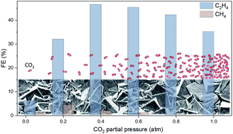 Graphical abstract: Effect of partial pressure on product selectivity in Cu-catalyzed electrochemical reduction of CO2