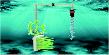 Graphical abstract: Bifunctional catalytic activity of Ni–Co layered double hydroxide for the electro-oxidation of water and methanol