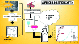 Graphical abstract: Eco-energetic management of activated sludge derived from slaughterhouse wastewater treatment: pre-treatments for enhancing biogas production under anaerobic conditions