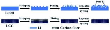 Graphical abstract: Lithiated carbon cloth as a dendrite-free anode for high-performance lithium batteries