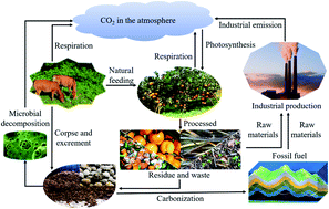 Graphical abstract: Clean and effective utilization of moldy peel as a biomass waste resource in the gasification process of petroleum coke