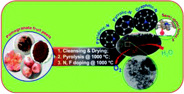 Graphical abstract: Rationally constructing nitrogen–fluorine heteroatoms on porous carbon derived from pomegranate fruit peel waste towards an efficient oxygen reduction catalyst for polymer electrolyte membrane fuel cells