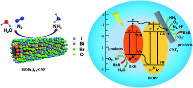 Graphical abstract: In situ fabrication of self-assembled BiOBrxI1−x coated on carbon nanofibers for efficient solar light-driven photocatalytic nitrogen fixation