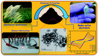 Graphical abstract: A facile approach to fabricate Saccharum spontaneum-derived porous carbon-based supercapacitors for excellent energy storage performance in redox active electrolytes
